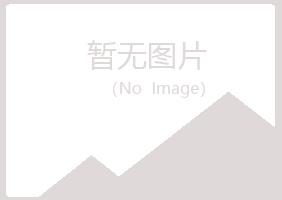 五台县山柏服务有限公司